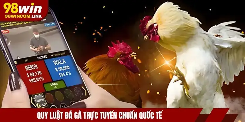 da-ga-98win-quy-luat